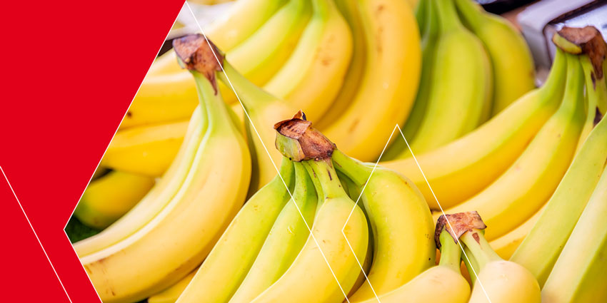 stefani-ref-battaglio-banane-rosso-00